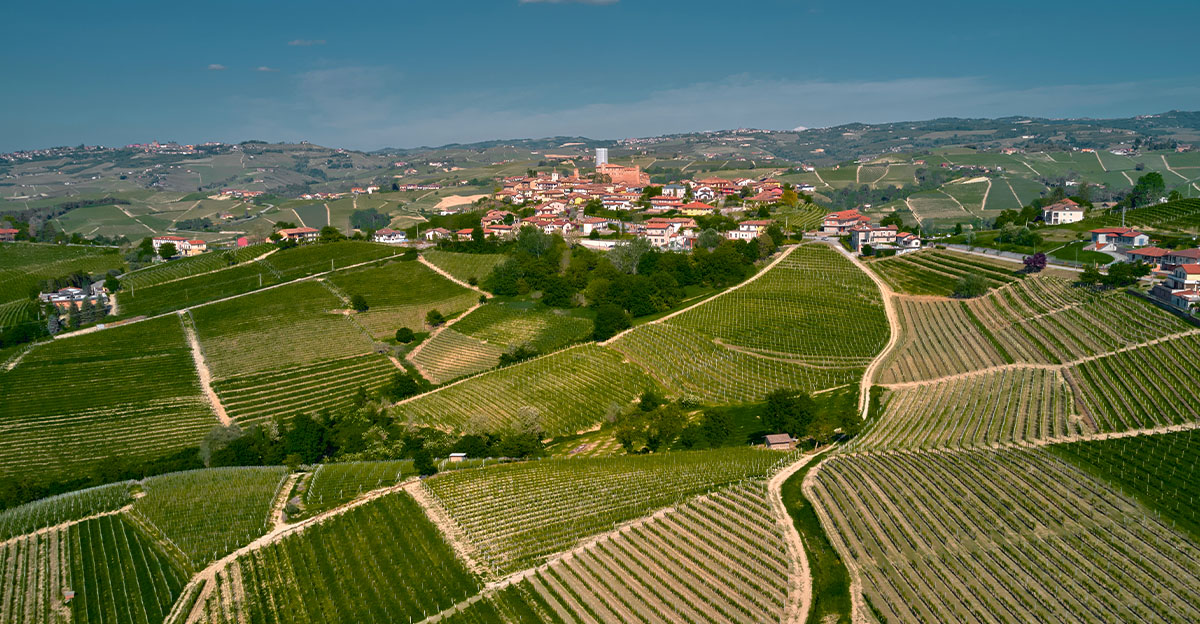 Visitare le Langhe - Pedala tra borghi, vigneti e panorami mozzafiato